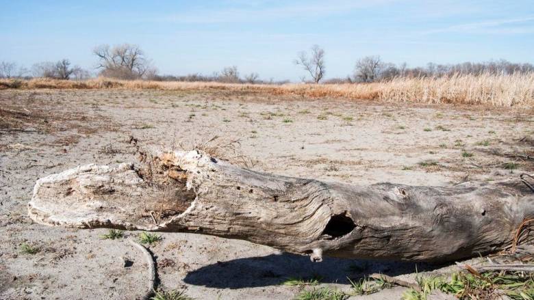 Περισσότερο από το ήμισυ των εδαφών της Ευρώπης πλήττεται από την ξηρασία