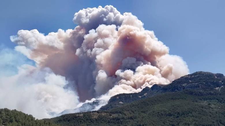 Φονικοί καύσωνες και πυρκαγιές «δοκιμάζουν» τη Νότια Ευρώπη - Ο ρόλος της κλιματικής αλλαγής