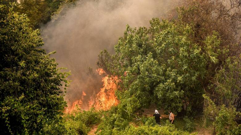 Δύο πυρκαγιές σε Μεγαλόπολη και Θεσπρωτία πιθανά από κεραυνό - 54 στη χώρα το τελευταίο 24ωρο