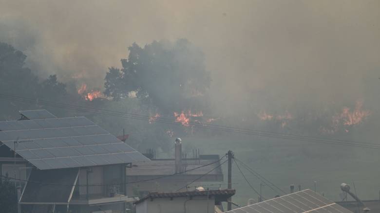 Φωτιά στην Πρέβεζα: Σε κατάσταση έκτακτης ανάγκης ο δήμος Ζηρού - Δύσκολη η κατάσταση στη Φιλιππιάδα