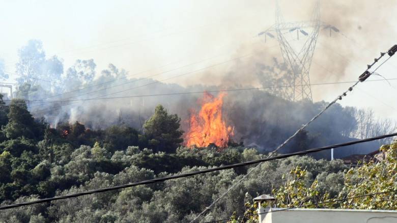Φωτιά στην Κάτω Αχαϊα: Νέο μήνυμα από το 112 για εκκένωση της περιοχής Μπάλας προς Πάτρα