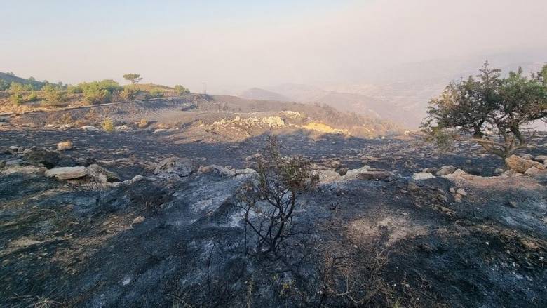 Σε έκταση 95.500 στρεμμάτων τα πύρινα μέτωπα του τελευταίου 24ώρου - Δορυφορικές εικόνες