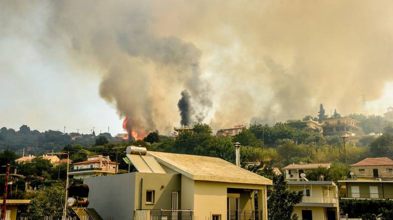 Συνελήφθησαν δύο άτομα για τις φωτιές στην Πάτρα - Ο ένας ομολόγησε εμπρησμό