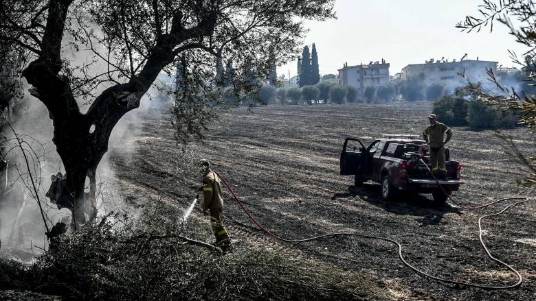 Συνεχίζεται η μάχη με τις φλόγες στην Πάτρα και στην Χίο - Σε ύφεση σε Πρέβεζα, Άρτα και Κεφαλονιά
