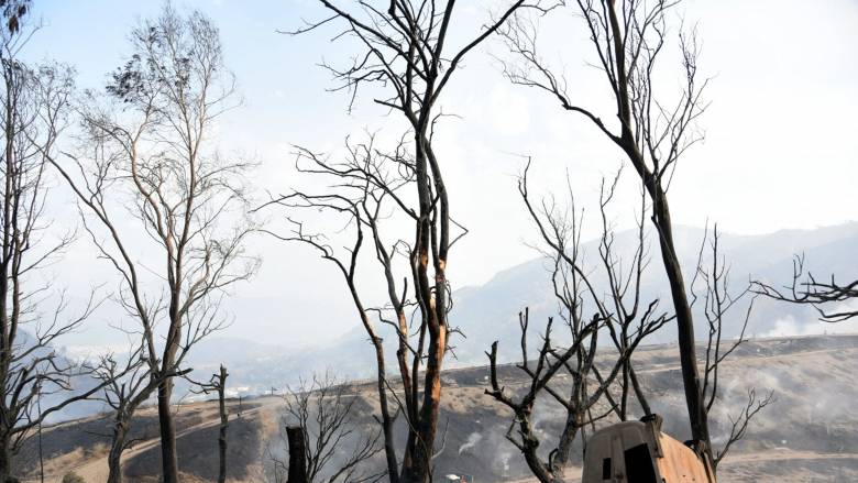 Στάχτη 100.000 στρέμματα από τις φωτιές σε Αχαϊα, Χίο, Πρέβεζα και Ζάκυνθο - Δορυφορικές εικόνες