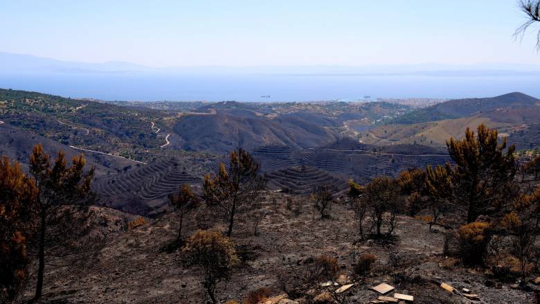 Χίος: Στάχτη το 22% της επιφάνειας από τις φωτιές 9 χρόνων - Μόνο φέτος κάηκαν 100.000 στρέμματα