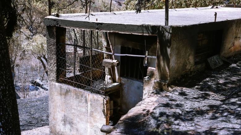 Φωτιά στη Χίο: Αποκαλυπτικά πλάνα από drone - Μαυρίλα και ανυπολόγιστες ζημιές