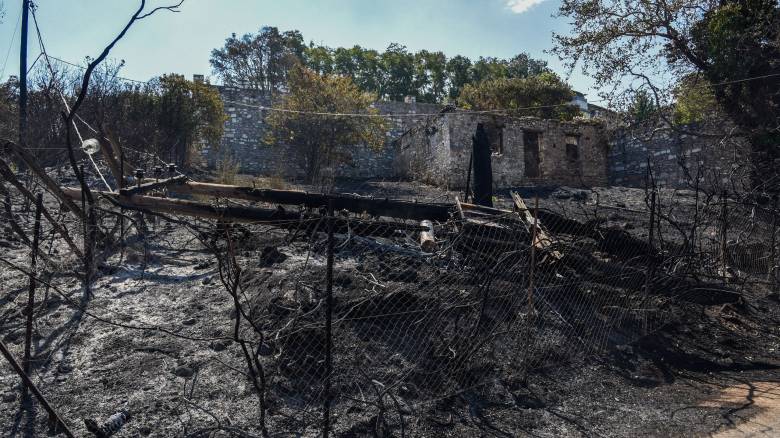 Φωτιές σε Αχαΐα - Χίο: Στάχτη και πολιτικές κόντρες άφησε το καταστροφικό πέρασμα της πυρκαγιάς