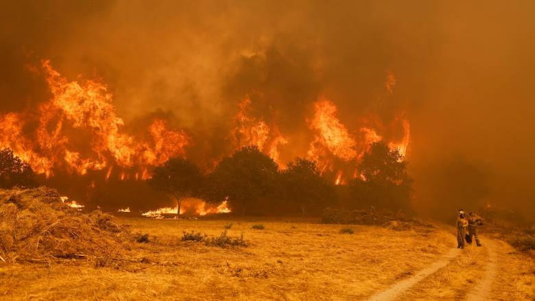 Πάνω από 3.430.000 στρέμματα έχουν καεί στην Ισπανία από την αρχή της χρονιάς