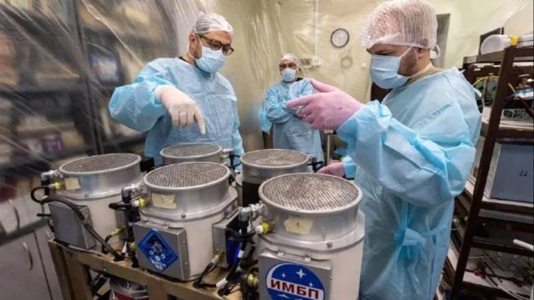 Γιατί η Ρωσία θα στείλει στο διάστημα 75 ποντίκια και 1.000 μύγες στις 20 Αυγούστου