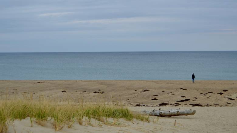 Μπλε δράκος: Κλείνουν παραλίες στη νότια Ισπανία λόγω δηλητηριώδους θαλάσσιου πλάσματος