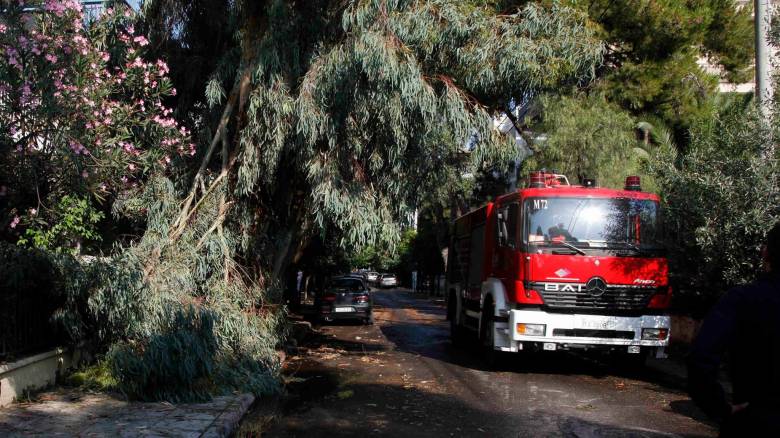 Μέτσοβο: 54χρονος καταπλακώθηκε από δέντρο – Απεγκλωβίστηκε τραυματισμένος