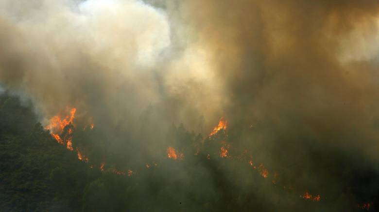 Mega-fire καίει 10 ημέρες την Πορτογαλία: Στάχτη 600.000 στρέμματα, 1.600 πυροσβέστες στη μάχη