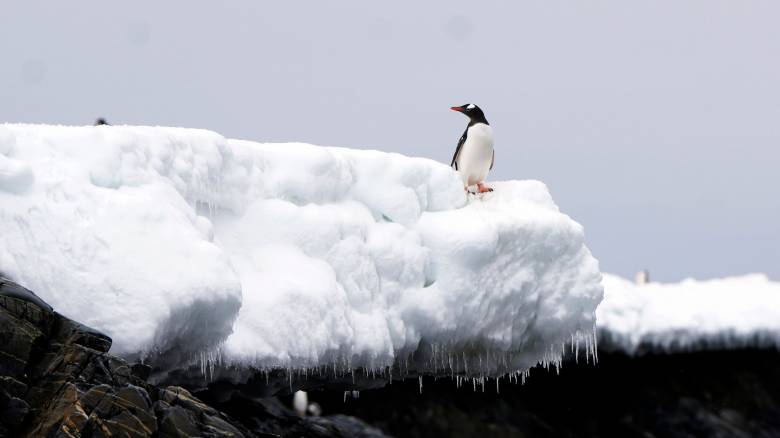 Τουρισμός στην Ανταρκτική: Ένας μόνο επισκέπτης μπορεί να ευθύνεται για το λιώσιμο 100 τόνων χιονιού