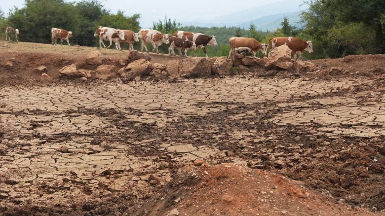 Πρωτόγνωρες συνθήκες ξηρασίας στην Ευρώπη και στη Μεσόγειο - Πάνω από το 50% της ηπείρου έχει πληγεί