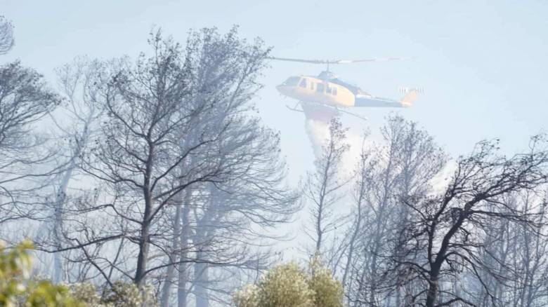 Υπό μερικό έλεγχο η φωτιά στην Παιανία - Βίντεο και εικόνες από την επιχείρηση της Πυροσβεστικής