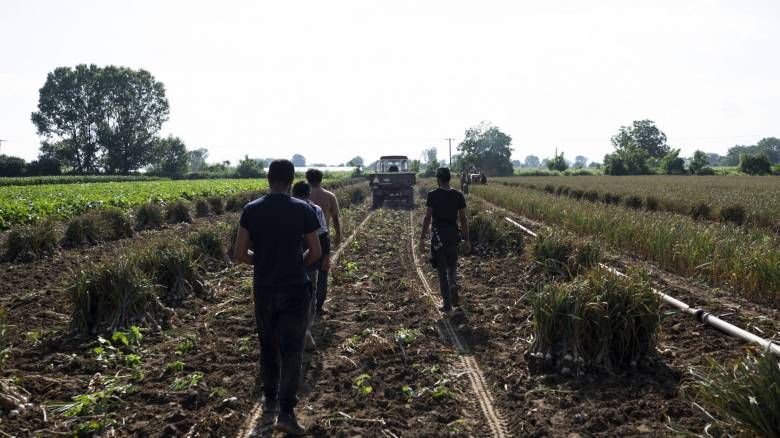 Στην αγορά εργασίας μετανάστες και πρόσφυγες με ημερομίσθιο 39 ευρώ – Όλο το σχέδιο