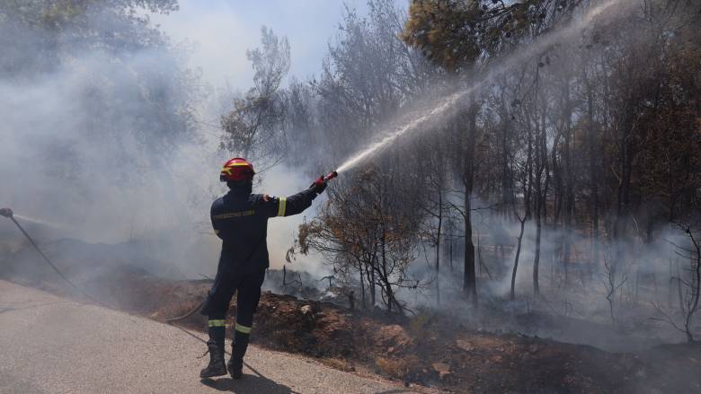 Φωτιά στην Καλλιθέα Αγρινίου - Σηκώθηκαν τρία εναέρια μέσα