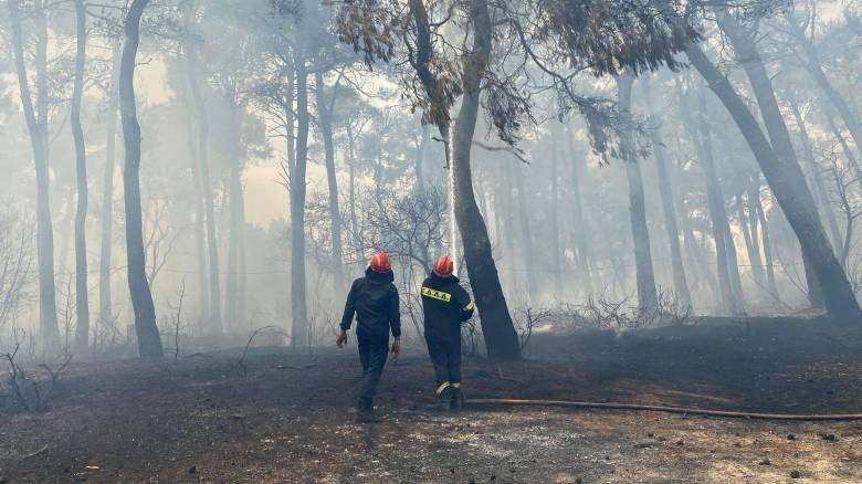 Παλλήνη: Στον ανακριτή σήμερα ο υπάλληλος του Δήμου που συνελήφθη για τέσσερις εμπρησμούς