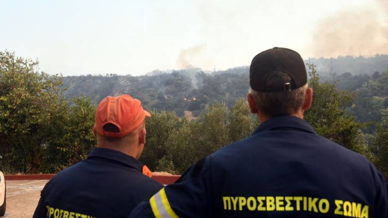 Πυρκαγιές: Καλύτερη εικόνα σε Τροιζηνία, Πρέβεζα, οριοθετήθηκε στην Μεσσηνία