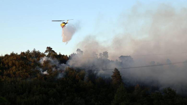 Φωτιά σε δασική έκταση στην Αισύμη Έβρου - Επιχειρούν και εναέρια