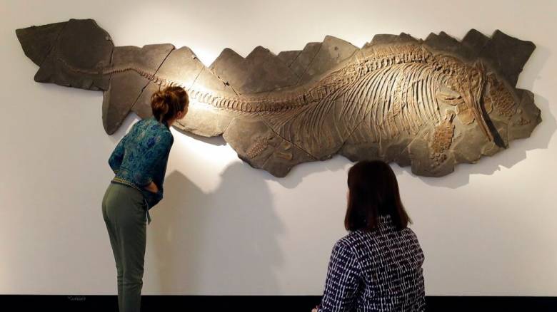 Άθικτο απολίθωμα ιχθυόσαυρου εντοπίστηκε στην Αυστραλία - «Ο θηρευτής των προϊστορικών θαλασσών»