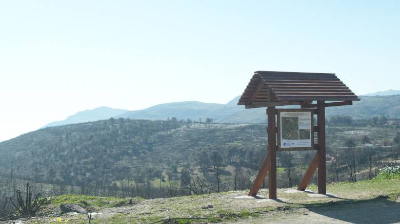 Η HELLENiQ ENERGY στην Πρώτη Γραμμή της αναγέννησης των δασών: Μια υπόσχεση ζωής και ελπίδας