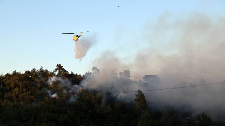 Φωτιά στα Πετράλωνα Μεσσηνίας - Επιχειρούν επίγειες και εναέριες δυνάμεις