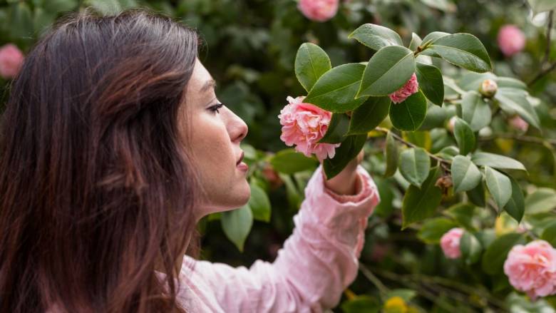 Το άρωμα που αυξάνει τη φαιά ουσία του εγκεφάλου μας