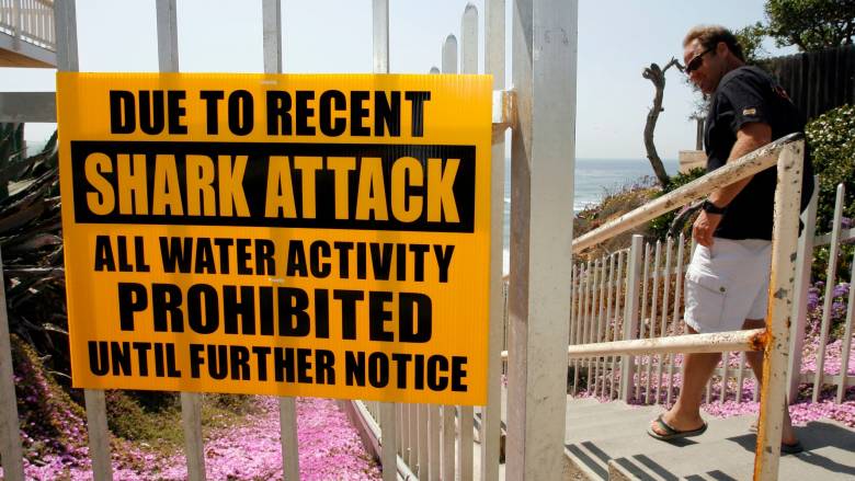 Έλληνας ομογενής ο 57χρονος που σκοτώθηκε από επίθεση καρχαρία στην Αυστραλία