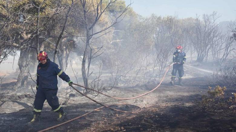 Φωτιά στο Αριοχώρι Καλαμάτας - Κινητοποιήθηκε η Πυροσβεστική