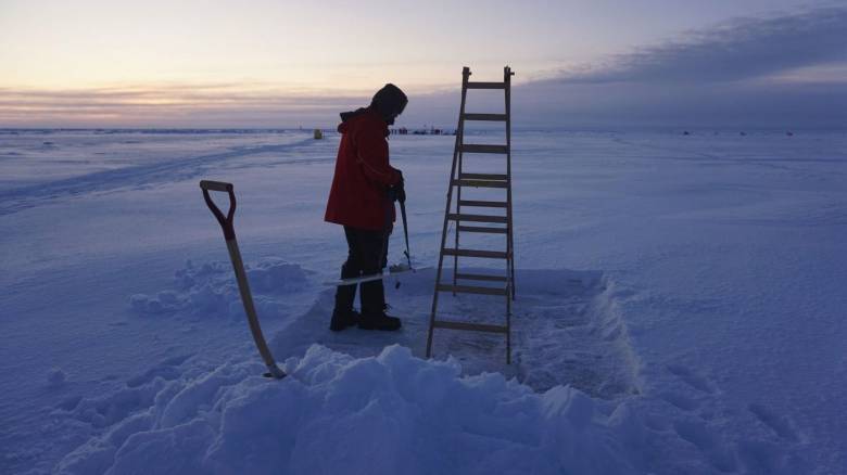 Από την Ύδρα στην Αρκτική: Ο Μιχάλης Τσαμαδός μελετά το κλίμα και χαρτογραφεί το λιώσιμο των πάγων