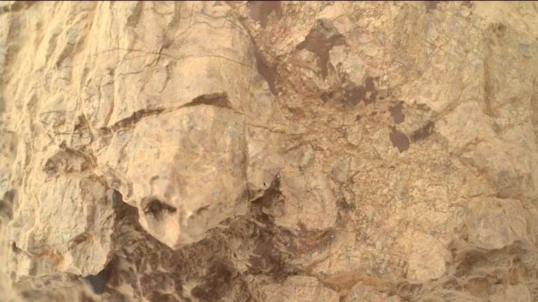 Μια «χελώνα» φωτογράφισε το ρόβερ Perseverance σε αρχαίους βράχους του Άρη