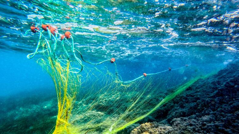 «Δίχτυα φαντάσματα» σκοτώνουν την θαλάσσια ζωή - Από την αλιεία το 15% των πλαστικών απορριμμάτων