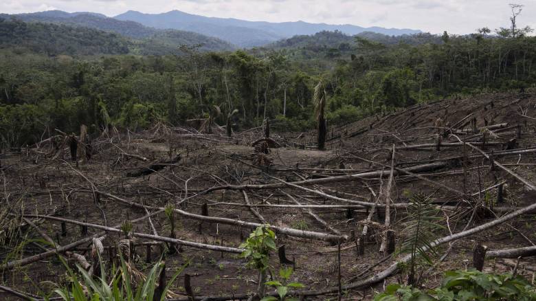Στο «σημείο χωρίς επιστροφή» το δάσος του Αμαζονίου: Χάθηκε επιφάνεια ίση με την έκταση της Ισπανίας