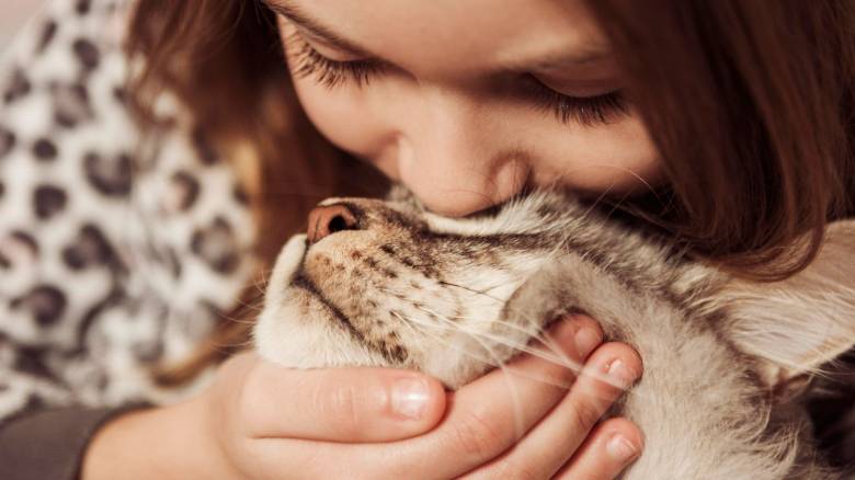 Η χημική ουσία του εγκεφάλου που φέρνει κοντά τις γάτες με τους ανθρώπους
