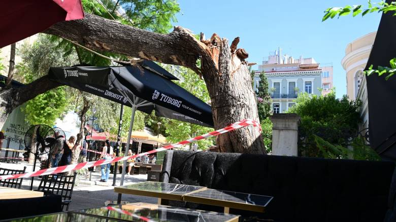 Βίντεο από τη στιγμή που το δέντρο πέφτει στο πλήθος στην πλατεία Αγίας Ειρήνης