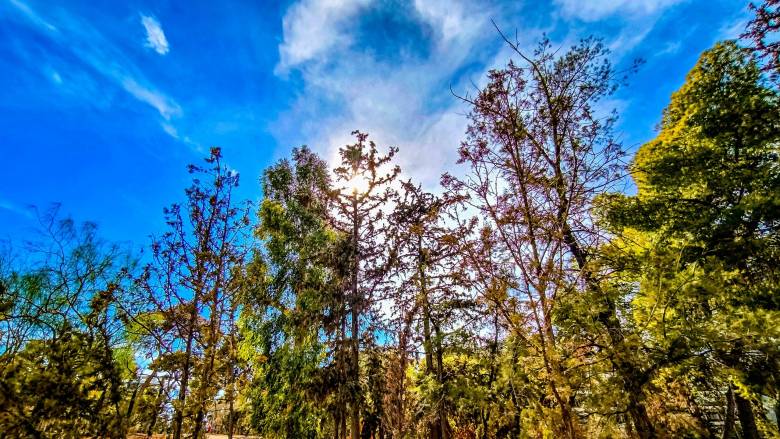 Καιρός: Γενικά αίθριος με την θερμοκρασία να φτάνει έως τους 32 βαθμούς