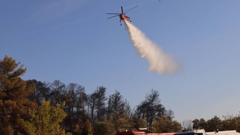 Αεροσκάφος Air Tractor που επιχειρούσε σε πυρκαγιά ακινητοποιήθηκε στη λίμνη Πηνειού
