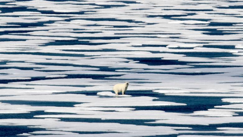 Πολικές αρκούδες έχουν κάνει σπίτι τους πρώην σοβιετική βάση - Μοναδικές εικόνες κατέγραψε drone