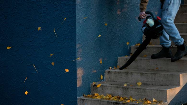 Η Ζυρίχη απαγορεύει τους φυσητήρες φύλλων λόγω ηχορύπανσης και βακτηρίων