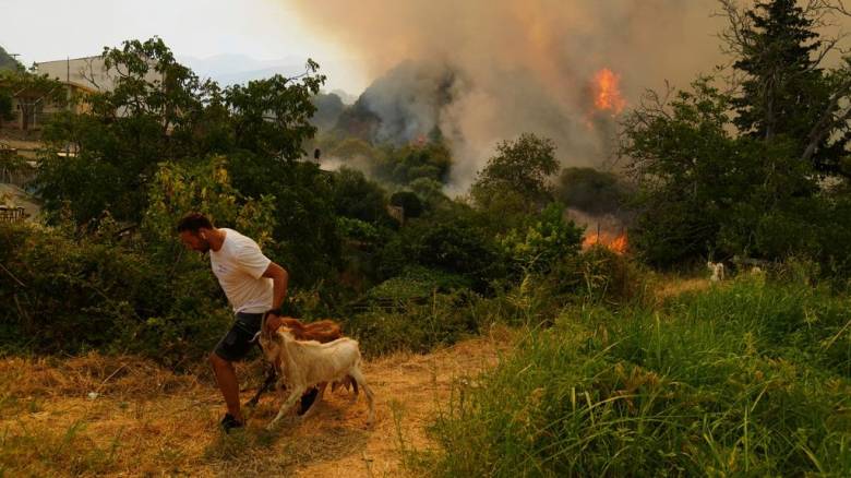 Νέα έκθεση για το περιβάλλον: «Απειλείται ο ευρωπαϊκός τρόπος ζωής»