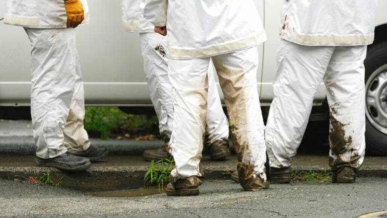 Ιαπωνία: Δύο νεκροί από επιθέσεις που αποδίδονται σε αρκούδες