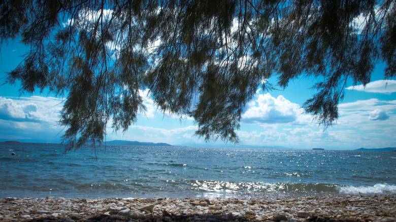 Μαθητές δίνουν «ζωή» στη Νέα Κίο - 100 αλμυρίκια «πρασίνισαν» το παραλιακό μέτωπο