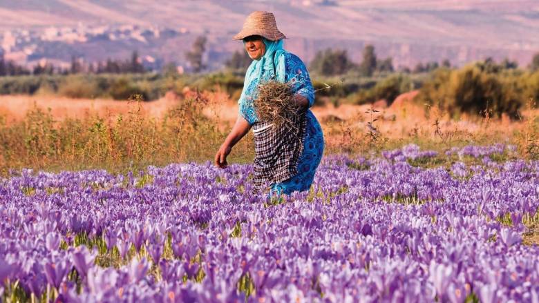 Βιωσιμότητα, ίσες ευκαιρίες, καινοτομία: Το θετικό αποτύπωμα του Ομίλου L’Oréal
