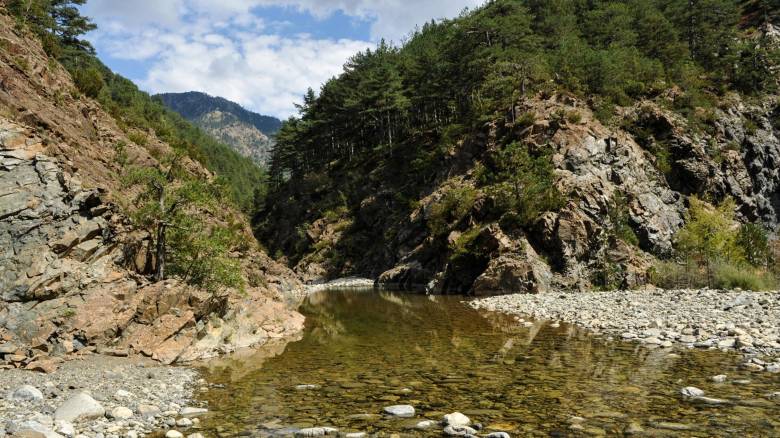 «Μάχη» για την προστασία της αρχέγονης μορφής του Αώου - Ο τελευταίος ποταμός που κυλά ελεύθερα