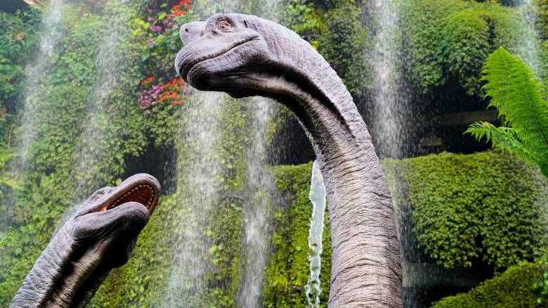 Αργεντινή: Στο φως σχεδόν πλήρης σκελετός δεινοσαύρου - Από τους παλαιότερους που έχουν ανακαλυφθεί