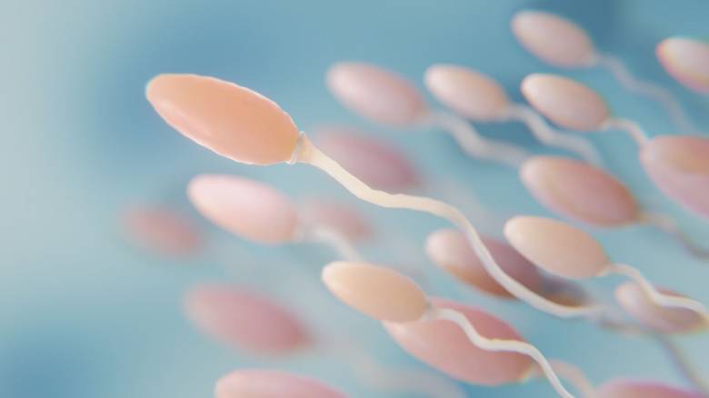 Υψηλότερος κίνδυνος: Δυνητικά επικίνδυνες μεταλλάξεις στο σπέρμα μεγαλύτερων σε ηλικία ανδρών