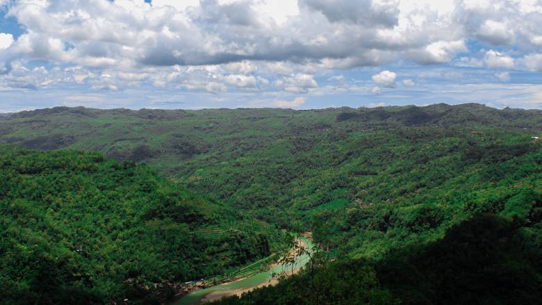 Τέσσερις γαλλικές τράπεζες κατηγορούνται από ΜΚΟ ότι χρηματοδοτούν την αποψίλωση του Αμαζονίου