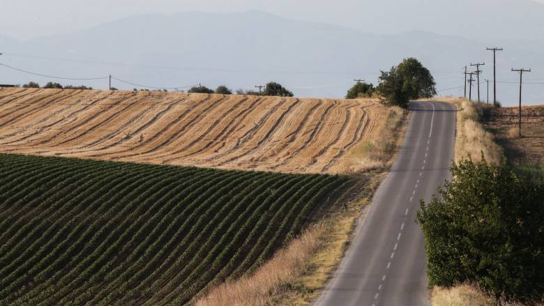 ΟΠΕΚΕΠΕ: Το μεγάλο «φαγοπότι» της εγκληματικής οργάνωσης - Όσα αναφέρει η δικογραφία για τους 37